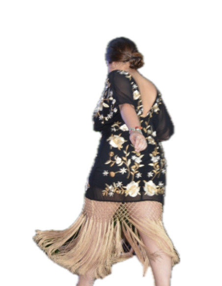 Vestido señorial