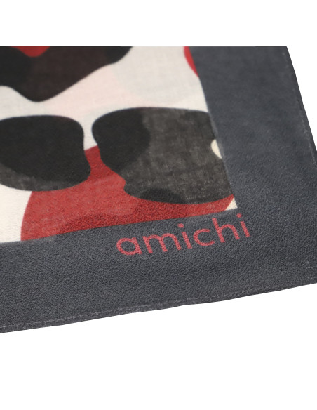 Pañuelo Amichi