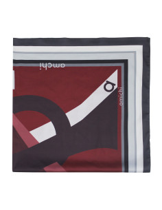Pañuelo Amichi 2