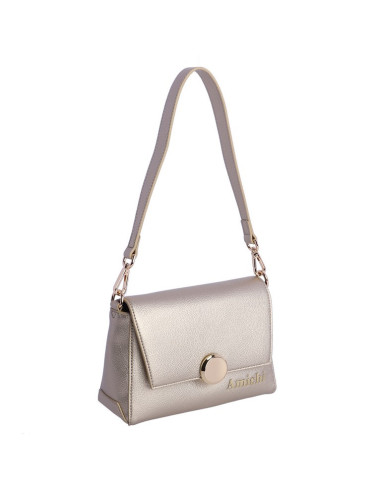 Bolso Amichi